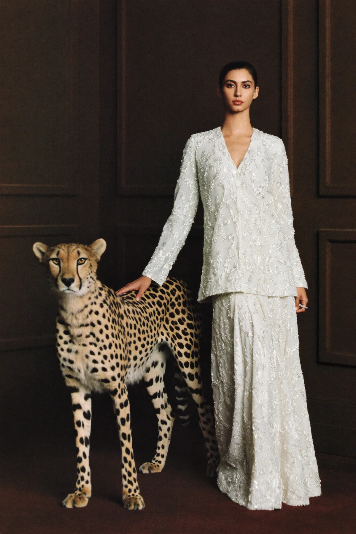 Fashion — The Cheetah, Kept Still