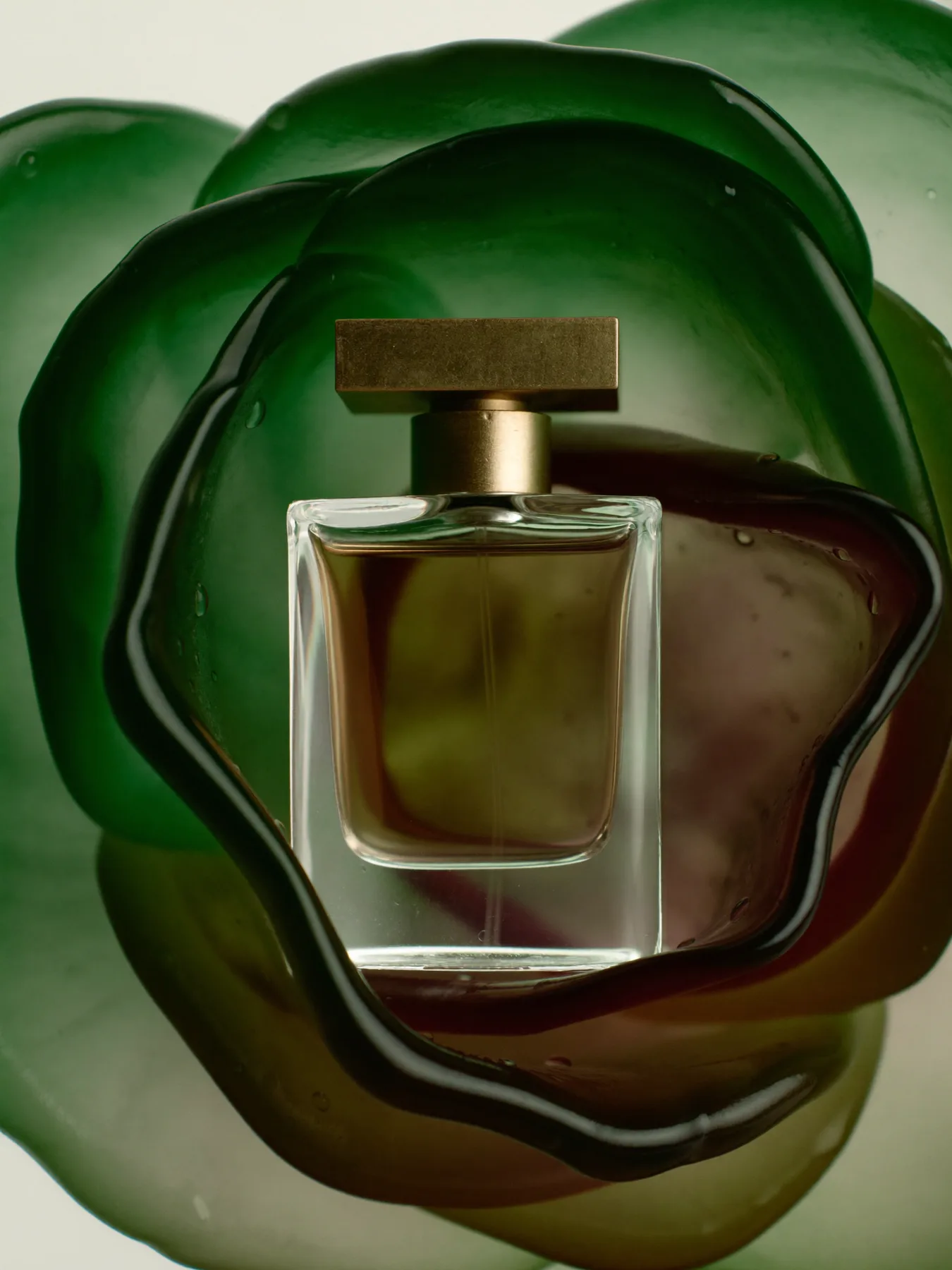 Fragrance — Held in a Green Petal
